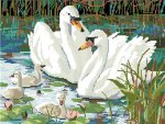 (image for) Swan Lake